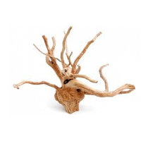 Натуральная коряга Driftwood Aquael S (15-28см) 