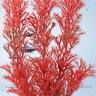 Растение Tetra DecoArt Plant S Foxtail Red 15 см. (Перистолистник красный)