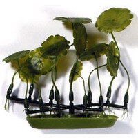 Растение пластиковое Hagen Марсилея