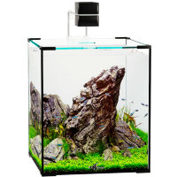 Аквариум Куб без светильника и тумбы Биодизайн Q-Scape 20 литров