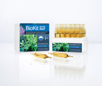 Набор для рифового аквариума Prodibio Bio Kit Reef Nano Перерабатывает органические загрязнения и оптимизирует качество воды, снижая уровень нитратов и фосфатов.