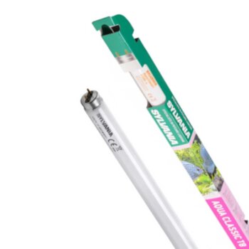Лампа для аквариума универсальная Т8 Sylvania Aquaclassic 14W 36.1 см. Лампа для аквариума, совмещают преимущества ламп, способствующих росту растений, и ламп дневного света.