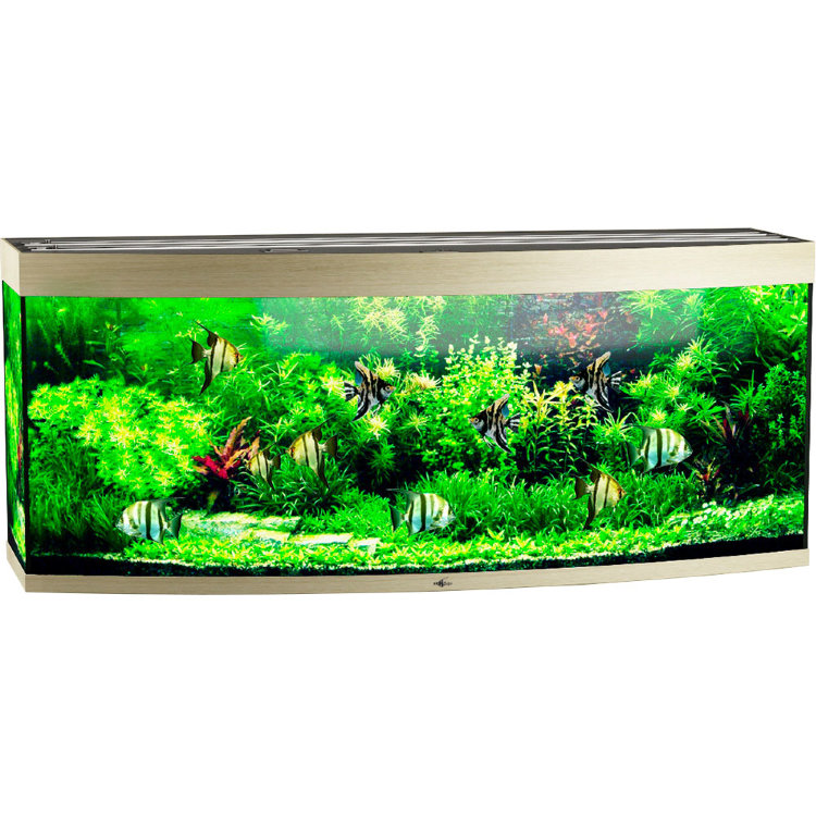 Аквариум без освещения и тумбы Биодизайн Панорама 650 (650 литров) Белёный дуб