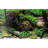 Фон для аквариума Barbus Фон Aqua/Garden, Bright Stone (1 м. высота 30 см.) - 