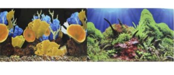Фон для аквариума Prime 60х150см (9096-1/9097) Фон для аквариума двухсторонний Морские кораллы/Подводный мир 60х150см (9096-1/9097)