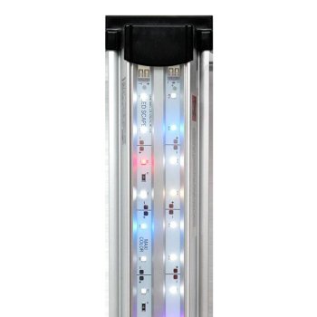 Светильник для аквариумов Биодизайн LED Scape Maxi Color (70 см.) Модель светильника для желающих максимально раскрыть яркость окрасок содержащихся животных и растений. Идеальное решение для освещения биотопных аквариумов , хардскейпа и цихлидников.