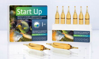 Набор кондиционеров Prodibio Start Up 6 шт. Набор препаратов для запуска аквариума (BIO DIGEST+STOP AMMO)