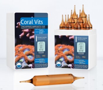 Жиро и водорастворимые витамины для кораллов Prodibio Coral Vits 10 шт. Препарат содержащий абсолютно все витамины необходимые для роста кораллов и хорошего самочувствия рыб в морских аквариумах.
