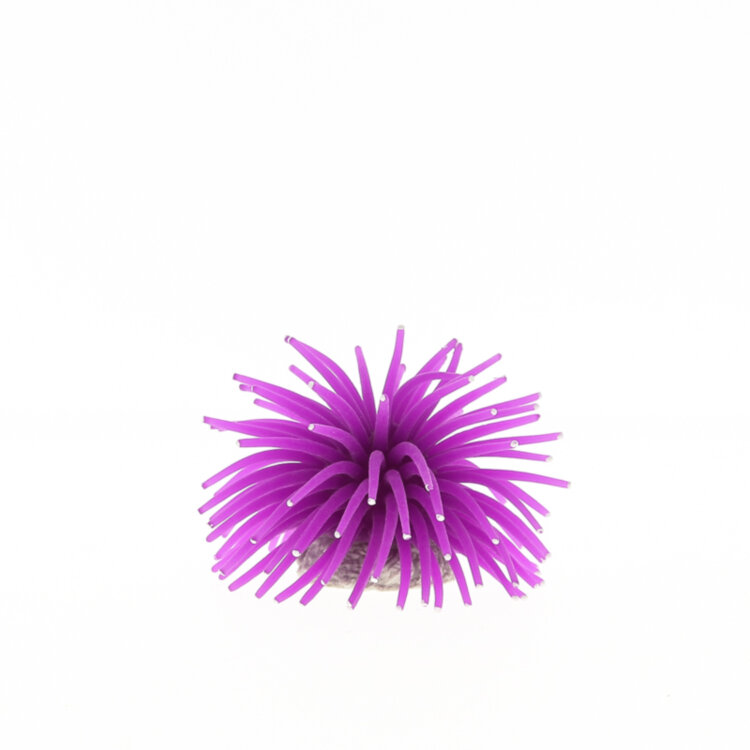 Коралл Vitality фиолетовый, 4.5х4.5х4см (RT172PU)