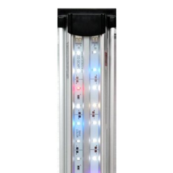 Светильник для аквариумов Биодизайн LED Scape Maxi Color (90 см.) Модель светильника для желающих максимально раскрыть яркость окрасок содержащихся животных и растений. Идеальное решение для освещения биотопных аквариумов , хардскейпа и цихлидников.