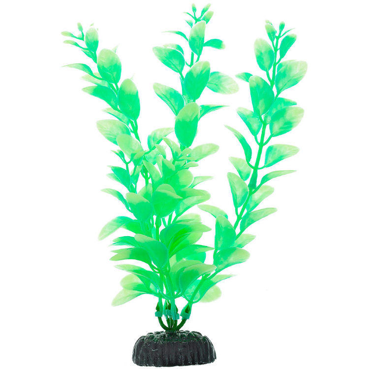 Растение светящиеся в темноте Barbus 057 (20 см.)
