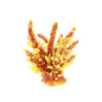 Коралл Vitality желто-перламутровый 12,6x10,7x11см (SH059PIY)