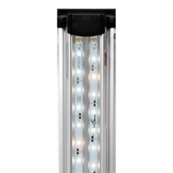 Светильник для аквариумов Биодизайн LED Scape Maxi Light (80 см.) Полноспектральная, модель светильника для тех потребителей, для которых величина светового потока и баланс пиков в синей и красной части спектра являются ключевыми параметрами выбора. Данная модель является самой яркой и энергоэффективной.