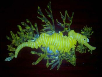 Морской конёк Vitality силиконовый SEA DRAGON Морской конёк силиконовый SEA DRAGON