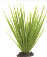 Растение Vitality пластиковое Аир, 20см, зеленое