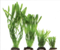 Растение Vitality пластиковое Валлиснерия 20см, зеленое