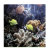 Ламп для морских аквариумов Т5 Sylvania Coralstar 24W 54.9 см. - 