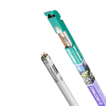 Ламп для морских аквариумов Т5 Sylvania Coralstar 24W 54.9 см. Люминесцентные лампы для подсветки морских аквариумов, создающие естественные условия освещения как на коралловом рифе