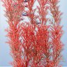Растение Tetra DecoArt Plant L Foxtail Red 30 см. (Перистолистник красный)