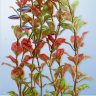 Растение Tetra DecoArt Plant L Red Ludwigia 30 см. (Людвигия красная)