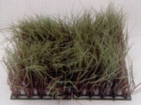 Растение Vitality пластиковое Коврик 12,5х25см, зеленое (83004_12.5)