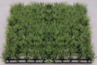 Растение Vitality пластиковое Коврик 12,5х25см, зеленое (83007_12.5)