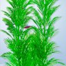Растение Tetra DecoArt Plant M Green Cabomba 23 см. (Кабомба)