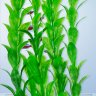 Растение Tetra DecoArt Plant M Hygrophila 23 см. (Гигрофила)