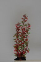 Растение Vitality пластиковое Людвигия 30см красно-зеленое