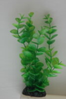 Растение Vitality пластиковое Монетница 30см зеленое