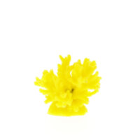 Коралл Vitality желтый 8x8x6.5см (SH066Y)