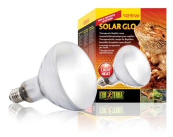 Газоразрядная ртутная лампа со встроенным балластом Solar Glo 125Вт Exo Terra Оптимальное сочетание ультрафиолетового, инфракрасного и видимого света. Помогает предотвратить заболевания костей, вызываемые нарушением метаболизма.