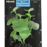 Растение для аквариума шелковое Prime Кардамин 12 см.