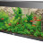 Объемный фон для аквариума Juwel Filtercover Stone Lime - 
