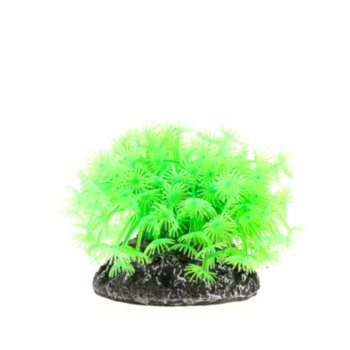 Коралл Vitality зеленый 10х10х10см (CA006G) Коралл пластиковый (мягкий) зеленый 10х10х10см (CA006G)