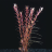 Ротала круглолистная (Пучок) Rotala rotundifolia - 