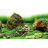 Фон для аквариума Barbus River Rock/Sea of Green (1 м. высота 45 см.) - 