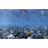 Фон для аквариума Barbus River Rock/Sea of Green (1 м. высота 45 см.) - 