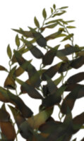 Растение Vitality шелковое, морские водоросли 40см