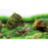 Фон для аквариума Barbus River Rock/Sea of Green (1 м. высота 60 см.) - 