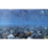 Фон для аквариума Barbus River Rock/Sea of Green (1 м. высота 60 см.) - 