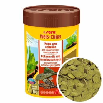 Основной корм для сомов Sera Wels Chips, банка 100 мл. Чипсы, основной корм для сомов анцитрусов и плекостомусов
