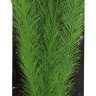 Растение для аквариума шелковое Prime Перистолистник, зеленое 30 см.