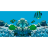 Лампа морская T5 Juwel High-Lite Blue 28W (60 см.) - 