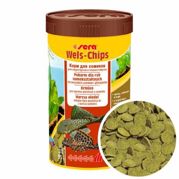 Основной корм для сомов Sera Wels Chips, банка 500 мл. Чипсы, основной корм для сомов анцитрусов и плекостомусов