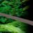 Пинцет Exo Terra для кормления рептилий - 