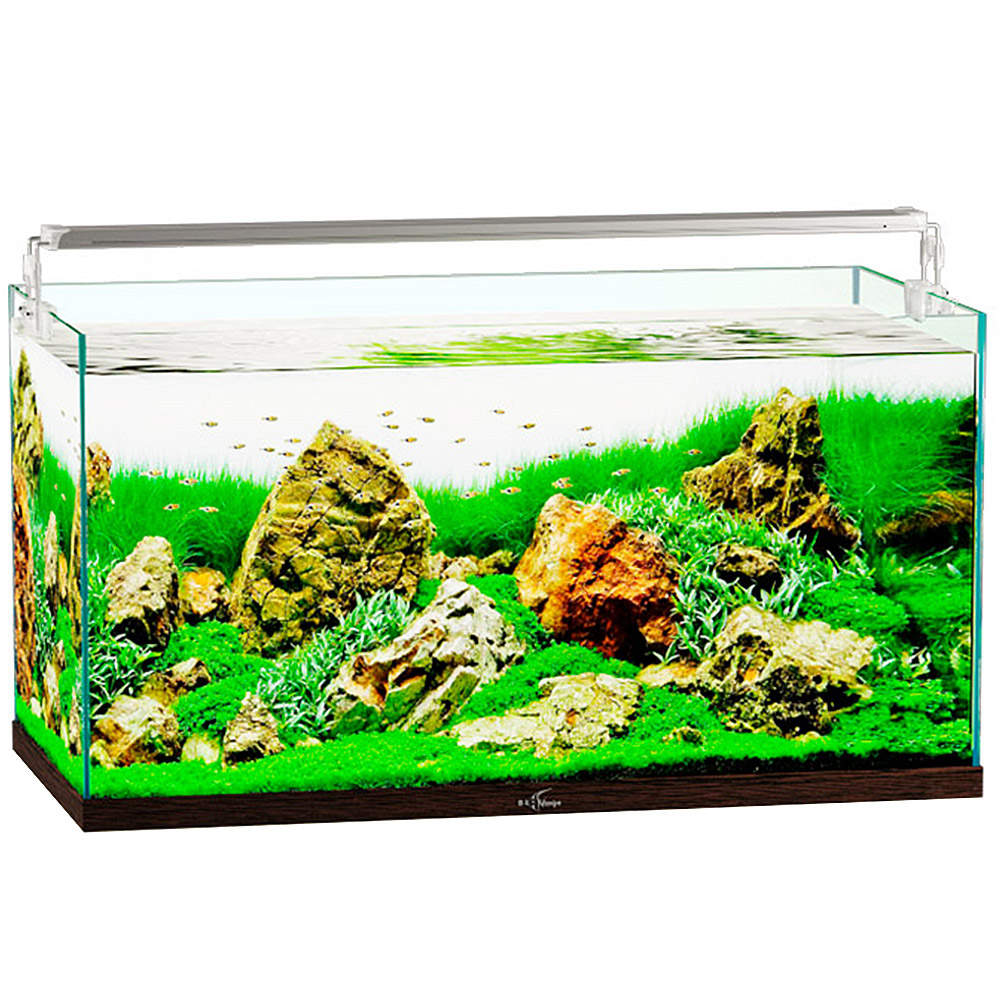 Тумба под аквариум 400л. Аквариум панорамный с крышкой 40л. Аквариум биодизайн ивагуми 100. Biodesign iwagumi 70. Аквариумы биодизайн альтум 450 литров.