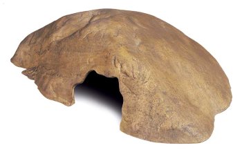 Естественное убежище-грот Reptile Cave, малый Exo Terra Натуральный внешний вид, совместимый с любым типом террариума. Естественное убежище-грот. 
