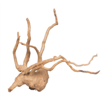 Коряга Prime Сакура M 30-60см (уп.25кг. +/-5%) Коряга PRIME Сакура M 30-60см (уп.25кг. +/-5%)