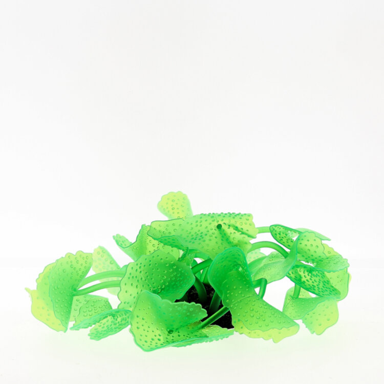 Коралл Vitality зеленый 5.5х5.5х12см (SH138G)